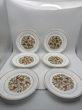 Vintage Set Of 10 CORELLE by CORNING Indian Summer Plates 8 1/2"